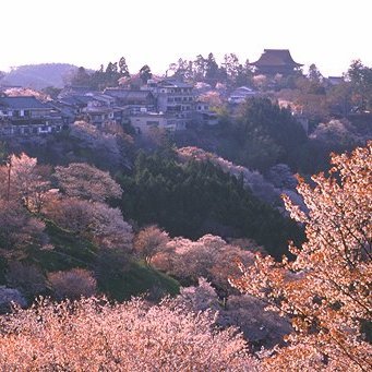 日本一の桜の名所であり修験道の聖地。 世界遺産 吉野山