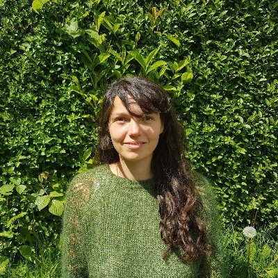 Mastodon: @diananbd@kolektiva.social

Research fellow at the School of Earth and Environment, @SEELeeds @CREDS_UK
