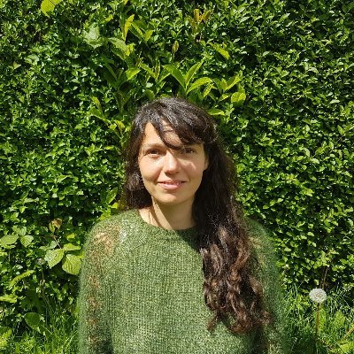 Mastodon: @diananbd@kolektiva.social
Research fellow at the School of Earth and Environment, @SEELeeds @CREDS_UK