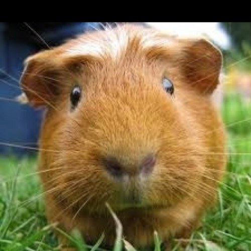 Louloos1974's profile picture. 