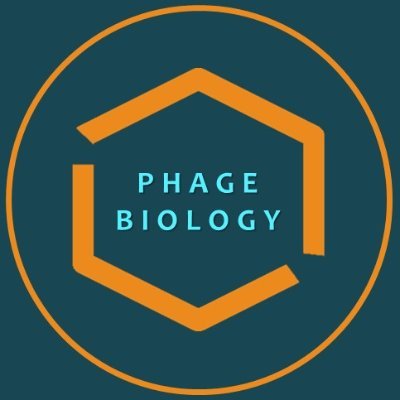 ♡ Phage Biologist ♡ community of young researchers #scientist, #phagehunt, #phagecycle, #phageome, #phagetherapy

Very soon to launch a website ............🌐