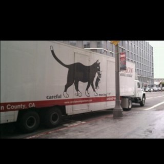 phueneke's profile picture. People have lost their damn minds.