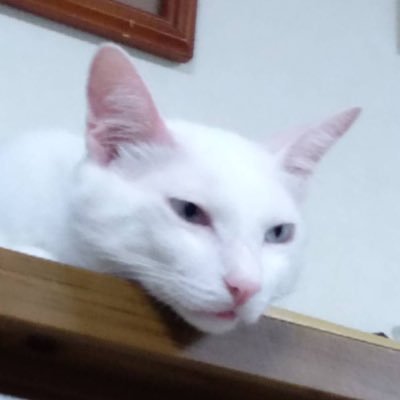 自由に生きる