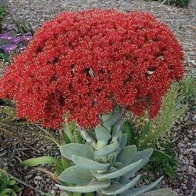 JanMuha04121974's profile picture. Pharmacist