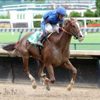 Kinsman Farm (@kinsman_farm) 's Twitter Profile