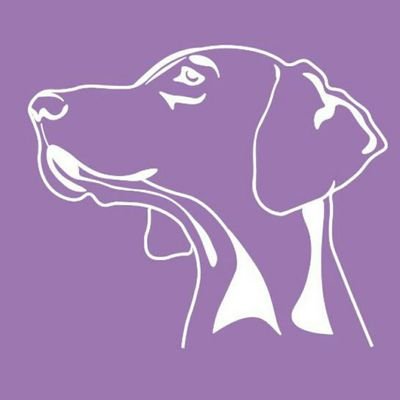 Organización sin ánimo de lucro especializada en el rescate, rehabilitación y gestión de adopciones de perros de raza weimaraner y emparentados con el braco.