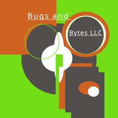Bugs and Bytes LLC, Trusted Advisors - vCIO organization for Healthcare providers; Single Point of Contact removing stress from IT & technology;