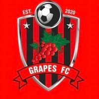 Grapes FC (@grapesfc1) 's Twitter Profile
