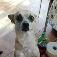Paweł (@pawe00164531) 's Twitter Profile