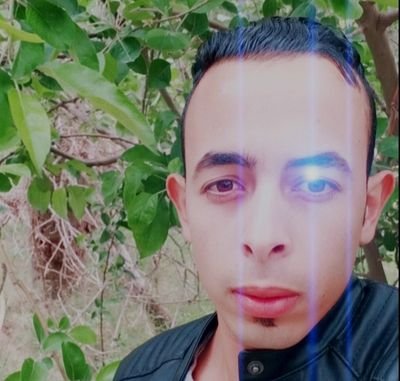 NZeroui's profile picture. 