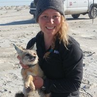 Jessica Buskirk (@feelingkitfoxy) 's Twitter Profile