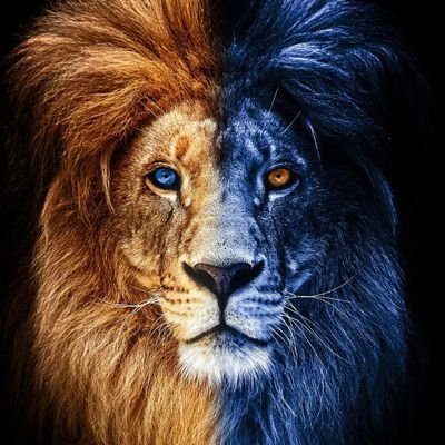 YawBlaqmore's profile picture. YouTube :Blaqmore Gaming ( https://t.co/Ko60RMor5W)

IG:Blaqmore_Himself 

fb: Nhana yaw Blaqmore / Dwayne Nhana Blaqmore

Snapchat:BlaqmoreH