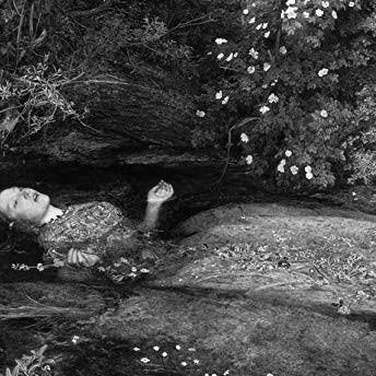 popdodpod's profile picture. 