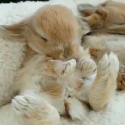 fmeneses33's profile picture. Haciendo de cada día un reto, para vivir la vida y no solo pasarla.