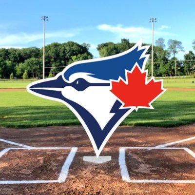 Blue Jays Baseball