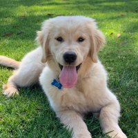 Linda (@lweber56) 's Twitter Profile