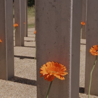 Families and survivors of 7th July 2005 London bombings. https://t.co/cjnCy79xqw
#Londonbombings #7JulyRemembered