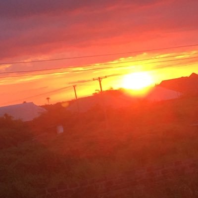 wealthkelvin12's profile picture. born in