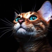 غـــاليــة الـغامدي🤍 (@glaaghamdi) 's Twitter Profile