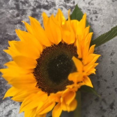 Proud elderly care @SWBH passion for quality and innovation to improve patient https://t.co/nTEHeIlrvw wildlife especially 🐝.Mom to 3 amazing daughters