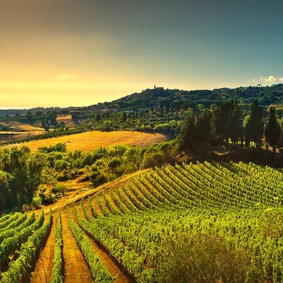 abyrley's profile picture. 