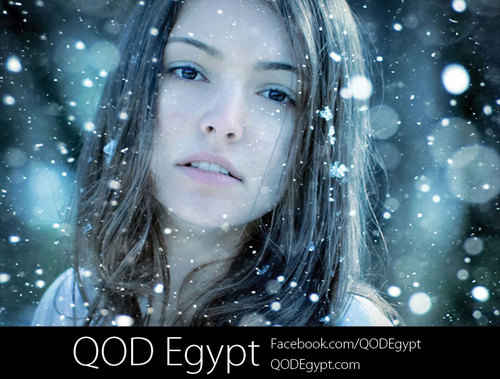QODEgypt's profile picture. QOD Egypt Brings You The Best In Organic (No Formalin) Keratin Products. Check Out Our Website http://t.co/zpM7R4HckW (Facebook: QODEgypt)
010 6666 057