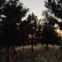 kitaplardan alıntılar🌼 (@just_books_) 's Twitter Profile
