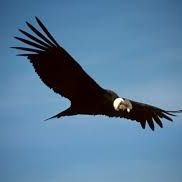 TimeFor39333735's profile picture. Trying to be an optimist, but its getting harder