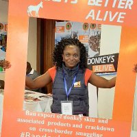 Laura Kavata (@laurakavata) 's Twitter Profile Photo