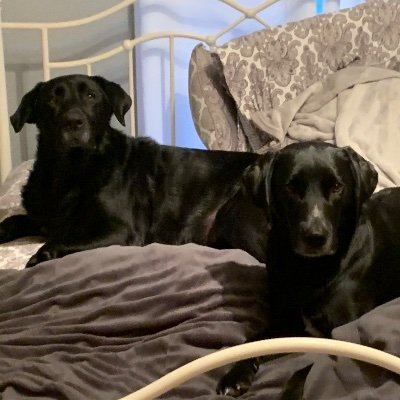 ChrisTejeda's profile picture. 