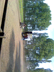 wezen032's profile picture. 