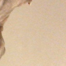 yaaadGetintoit's profile picture. 