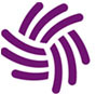 servicenetinc's profile picture. Innovative mental health and human services for western and central Massachusetts.