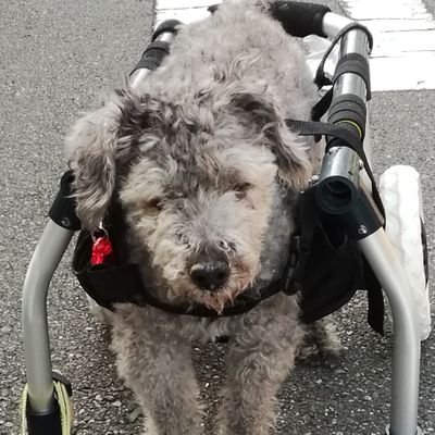 ぶん太姉ちゃんさんのプロフィール画像