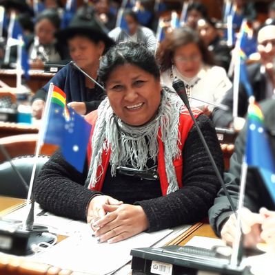 AliciaCanqui's profile picture. Diputada Plurinacional 🇧🇴 por el Departamento de #Chuquisaca, Licenciada en Ciencias de la Educación con Máster en Educación Socio Comunitaria Productiva.