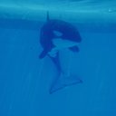 Abigail Wray - @AbiWray - Twitter