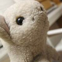 佐藤　天彦 (@amahikosatoh) Twitter profile photo