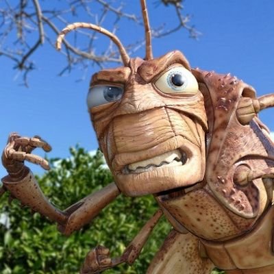 checo_w's profile picture. 色々と整理