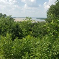 IndigenousNationsNetwork (@williamunder2) 's Twitter Profile