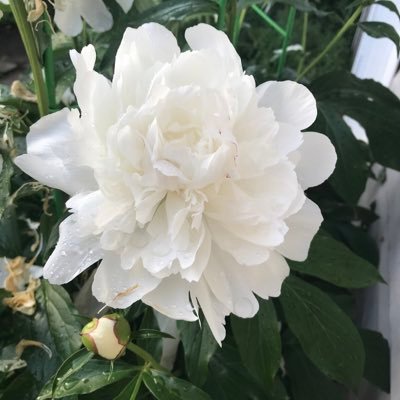 imlearning's profile picture. Arts. Sports. Baking. Sewing. Aunt. Sister. Daughter.