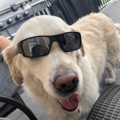 cjceuls's profile picture. Lucky Husband, Proud Dad, Humble Coach. Watching Volleyball & Hockey in the winter & wishing to be at the lake all summer. “A bit better everyday…”