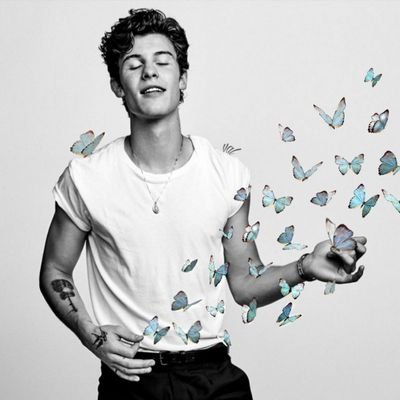 I love Shawn Mendes & if u are seeing this, u too ;)
stream shawn mendes.
My wish is to meet @ShawnMendes and @onedirection