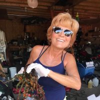 Lisa Fleish (@fleishlisa) 's Twitter Profile