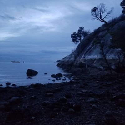 LionelP24053851's profile picture. Eat. Watch Netflix. Sleep
Not necessarily in that order