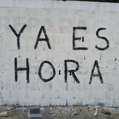 joaquin_mtz12's profile picture. Alegre, perspicaz, difícil de ser sorprendido y amante de la lectura