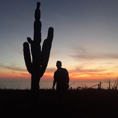 pavidonavidooo's profile picture. 