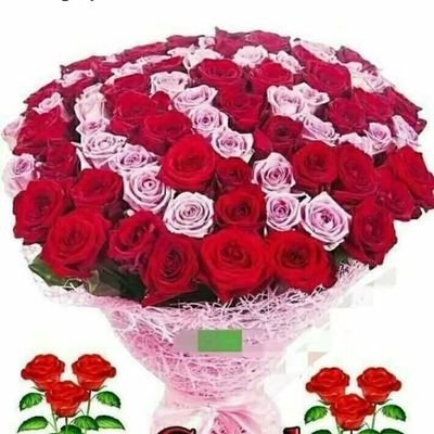 ANITATI93698868's profile picture. 