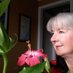 Nancy Martin (@nancymartin2021) Twitter profile photo Nancy Martin (@nancymartin2021) Twitter profile photo