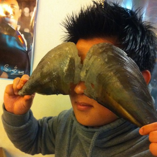 networkplanning's profile picture. Network Planning Specialist at Jeju Air. 
Studied Economics at the University of British Columbia.