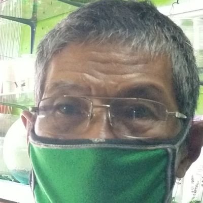 nicolasbuado's profile picture. mcgi